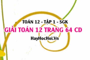 Giải Toán 12 trang 64 tập 1 Cánh Diều
